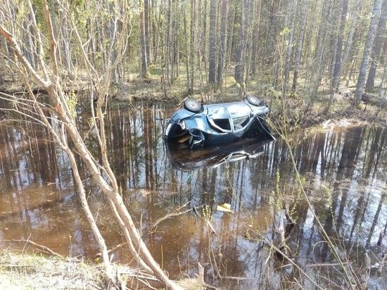 Появились подробности ДТП в Тверской области, где машина упала в лужу: водитель был пьян