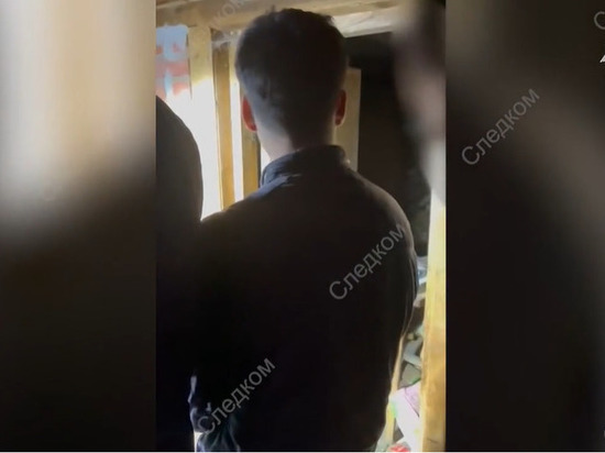 Двое мужчин предстанут перед судом за убийство пенсионера поленом в Ломоносовском районе