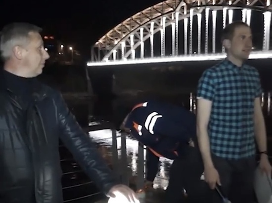 Губернатор Никитин рассказал про новую подсветку на мосту Белелюбского в Боровичах