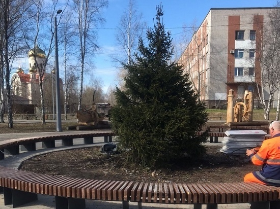В Никольском сквере Архангельска коммунальщики привели в порядок накренившуюся елку
