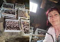 Жители Томска получили советы о том, когда и как правильно высаживать картошку, чтобы получить хороший урожай