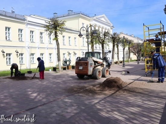 В Смоленске начали компенсационное озеленение