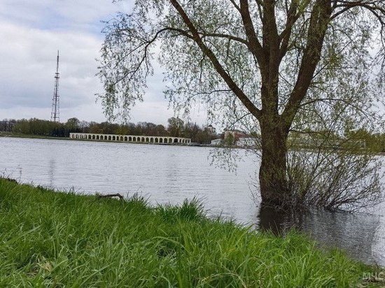 С 93 участков Новгородской области отступила вода