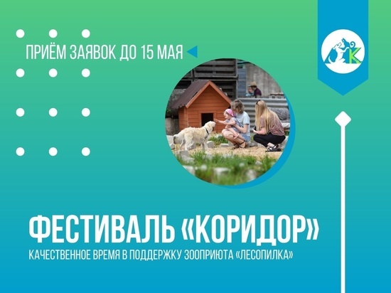 Фестиваль в поддержку животных «Коридор» пройдет в псковском приюте «Лесопилка»
