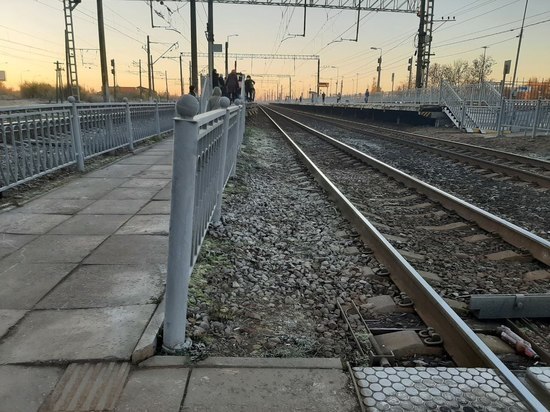 Грузовой поезд переехал переходившую железную дорогу пенсионерку из Гатчины
