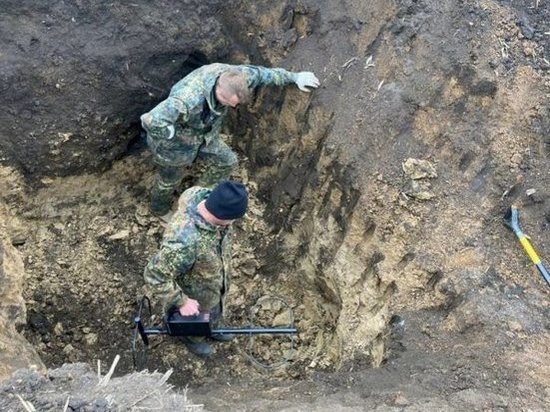 В Курской области в рамках Вахты Памяти обнаружили останки 14 советских бойцов