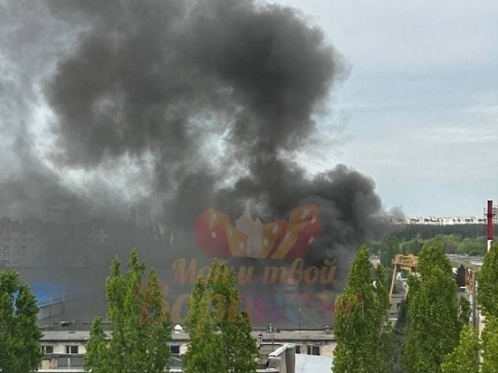 На улице Димитрова в Воронеже потушили устрашающий горожан пожар