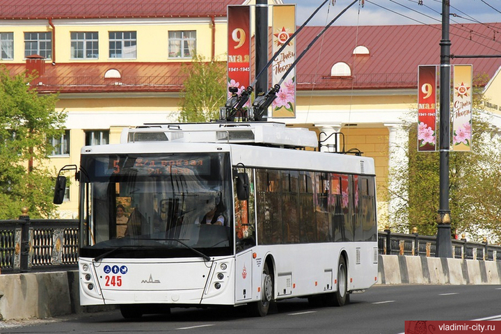 Костромские страсти: депутат облдумы решил спасти троллейбусы при помощи пикетов