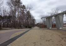 Редакция «МК в Хабаровске» не раз обращала внимание на печальное состояние, в котором пребывает парк имени Гагарина