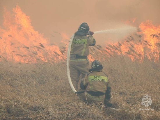 Спасатели-добровольцы из ЯНАО поехали в Курганскую область на помощь в тушении лесных пожаров