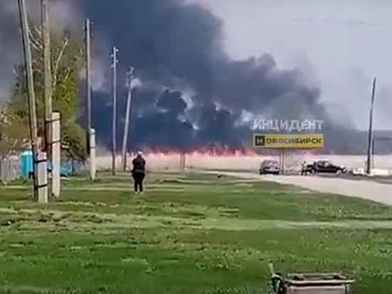 В Новосибирской области загорелось поле в Краснозёрском районе