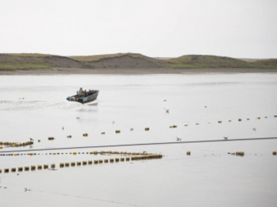 Резидент ТОР «Чукотка» откроет цех по переработке рыбы и оленины