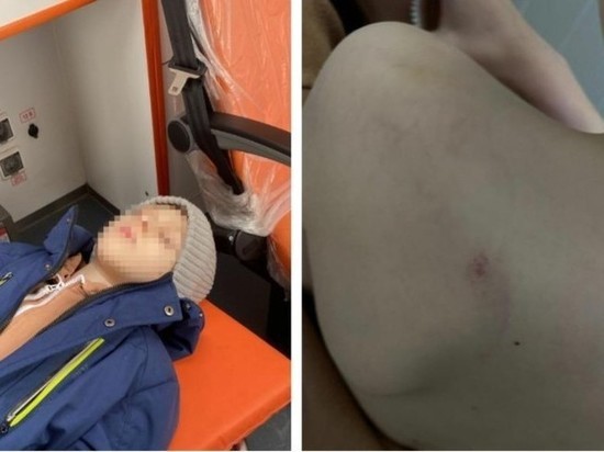 Под Новосибирском мать первоклассника хочет подать в суд на родителей избившего её сына мальчика