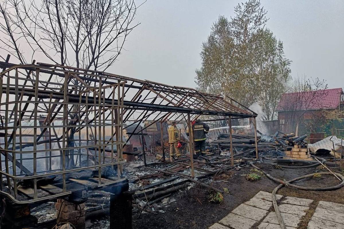 Главный полицейский Озерска задержал виновника масштабного пожара в садах - МК Ч