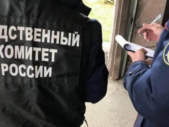Следователь раскрыл детали убийства жителя Подмосковья в Томской области