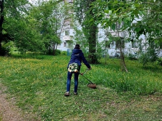 На улице Суворова в Пензе покосили траву