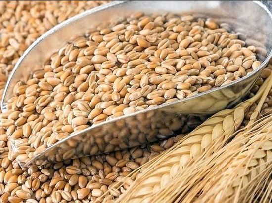Орловская область получит больше 280 миллионов рублей на поддержку производителей зерна