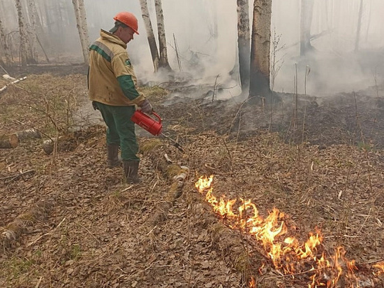 Группа архангельских парашютистов ликвидируют лесные пожары в Свердловской области