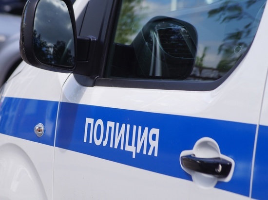 В Красноярском крае двое подростков связали 13-летнюю девочку за гаражом