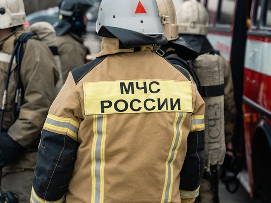 На территории СНТ «Нефтяник» в Рязани второй день горит свалка