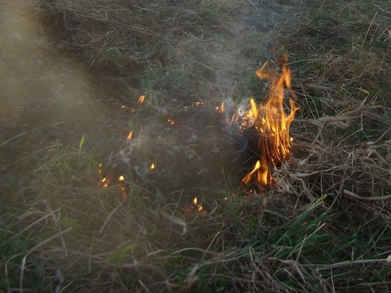Неконтролируемый пал травы легко может стать лесным или торфяным пожаром