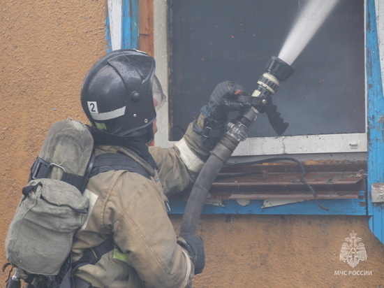 В Курской области в апреле этого года пожарные выезжали на вызовы порядка 740 раз