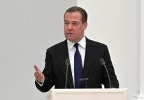 Дмитрий Медведев поддержал идею министра юстиции Ирана Амина Рахими, предложившего организовать «санкционный клуб» стран, подвергшихся давлению и ограничениям, для совместной борьбы с произволом