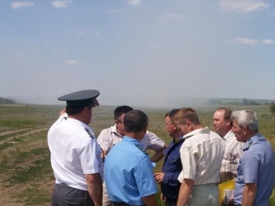 В Петровском районе пчелы погибли от отравления пестицидами
