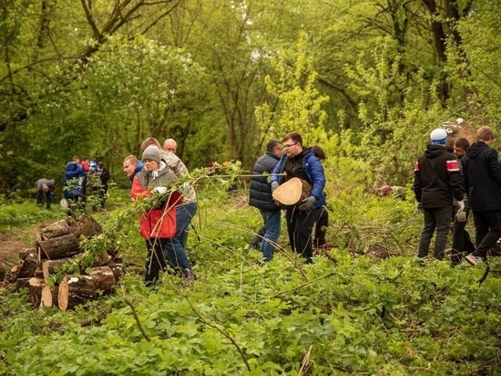 В Курске 13 мая пройдёт акция по заготовке дров для участников СВО