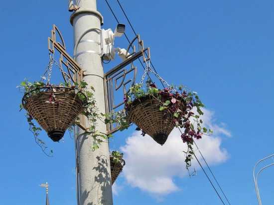 В Орле на главных городских мостах развесили почти сотню горшков с цветами