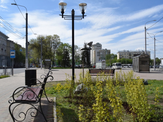 На Вокзальной площади в Иванове посадили декоративные кустарники и яблони Red Obelisk