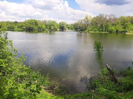 В Минприроды Курской области опровергли информацию о загрязнении реки Сейм