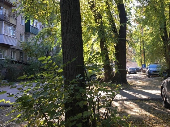 В Воронеже под окнами пятиэтажки в Советском районе обнаружили труп 39-летней женщины