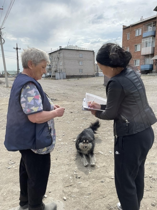 В Кызыле проверили хозяев, у которых собаки на свободном выгуле