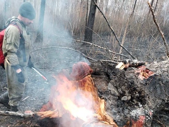 В Приангарье за сутки потушили 6 лесных пожаров