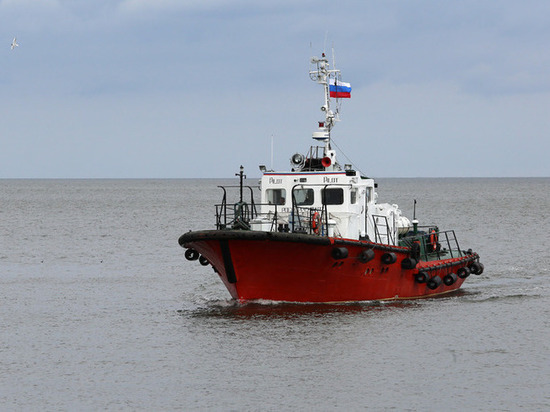  Суд удовлетворил иск о национализации части акций Калининградского морского порта