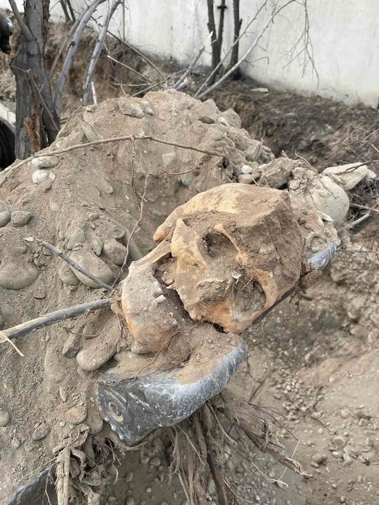 В Кызыле рабочие раскопали асфальт и наши останки человека