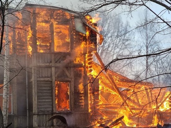 Целый час горел жилой дом в Вырице утром 13 мая