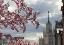 В метеобюро Москвы сообщили о зафиксированном температурном максимуме этого года