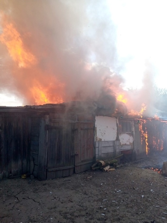 Курские пожарные отстояли дом и хозпостройку в Рыльском районе