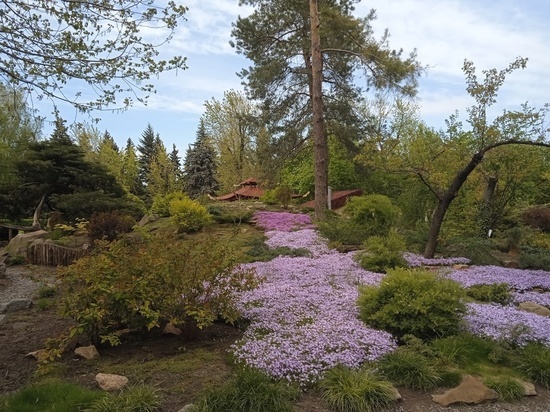 Сад злаков откроется для посетителей в Донецке