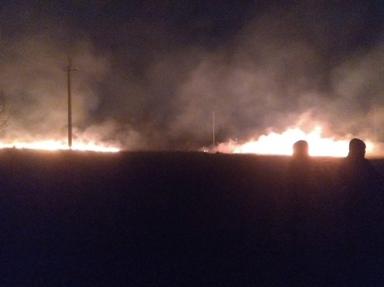 Под Новосибирском загорелся лес в селе Толмачёво