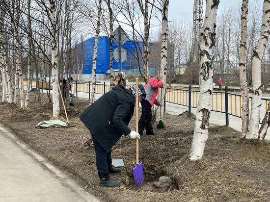 В Териберке 27 мая пройдет большой арктический субботник