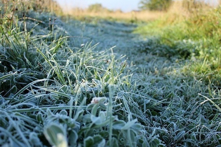 В Костромской области ожидаются заморозки