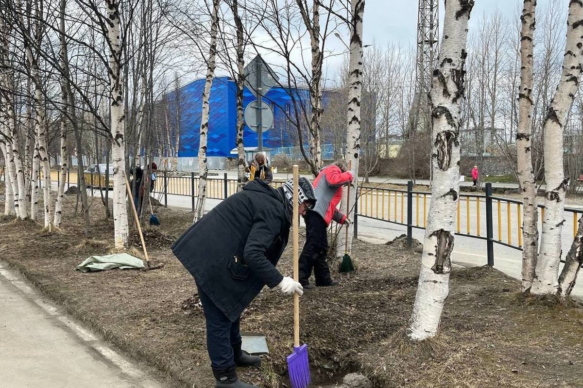 Месячник в 2024 году. Субботник. Городской субботник. Субботник в парке.