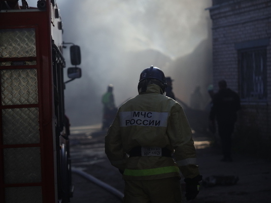 МЧС Калининграда устранили 22 пожара за сутки
