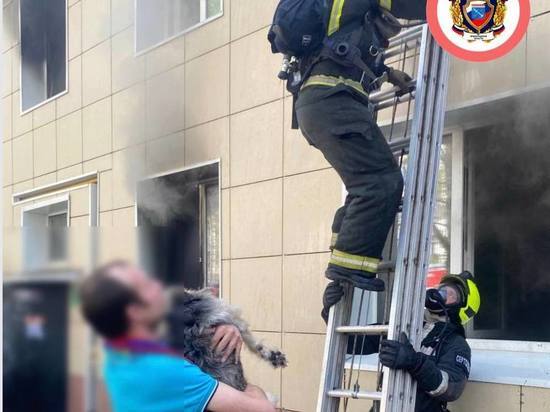 Из горящего дома в Сертолово эвакуировали четырех человек, двух собак и кошку