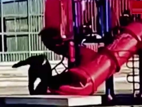 Президент Чили Габриэль Борич прокатился на детской горке и застрял в трубе