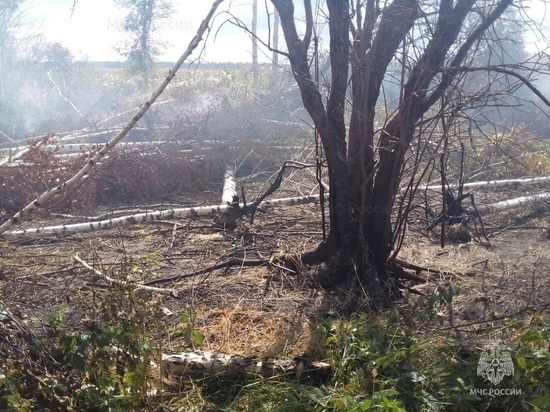 В Смоленской области ожидается высокая пожароопасная ситуация