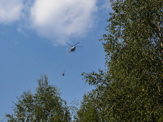 Карельские летчики осматривают леса с воздуха